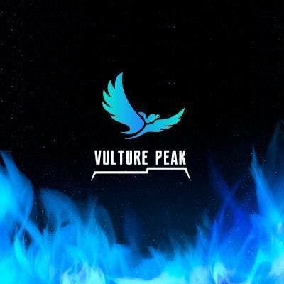 Vulture Peak is a pioneering Launchpad and an Investment fund focusing on blockchain games, NFTs, metaverse, DeFi, and other developments in the blockchain space.🔥